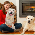 Köpeğinizin Fotoğrafını Sıcaklık Dolu Bir Hediyeye Dönüştürün
