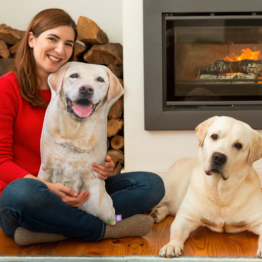 Köpeğinizin Fotoğrafını Sıcaklık Dolu Bir Hediyeye Dönüştürün