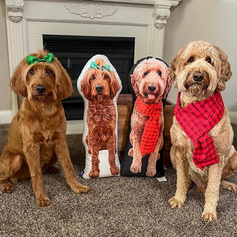 Köpeğinizin Fotoğrafını Sıcaklık Dolu Bir Hediyeye Dönüştürün